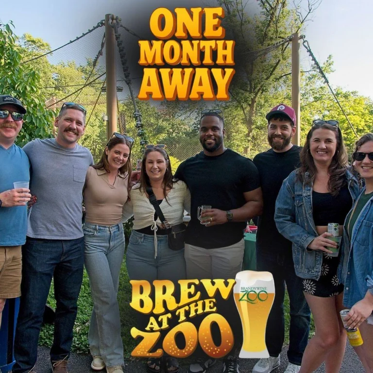 Instagram post from brandywinezoo. This post is in position 1.
