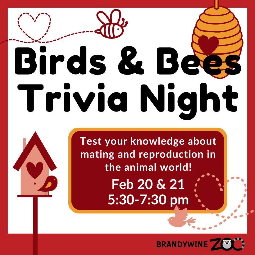 Instagram post from brandywinezoo. This post is in position 1.