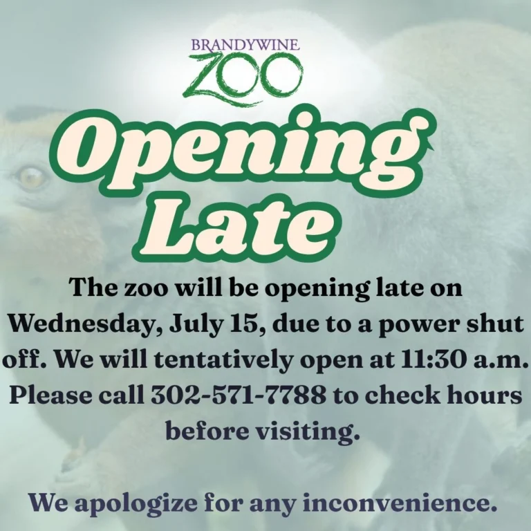 Instagram post from brandywinezoo. This post is in position 1.