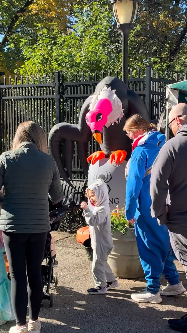 Instagram post from brandywinezoo. This post is in position 1.