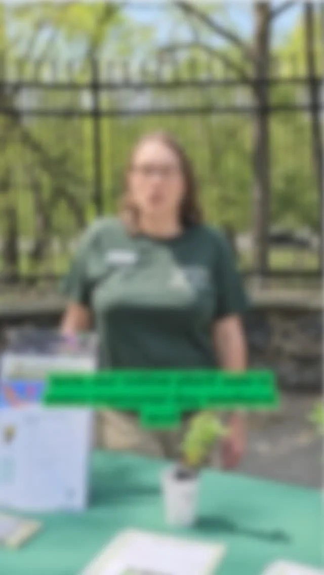 Instagram post from brandywinezoo. This post is in position 1.