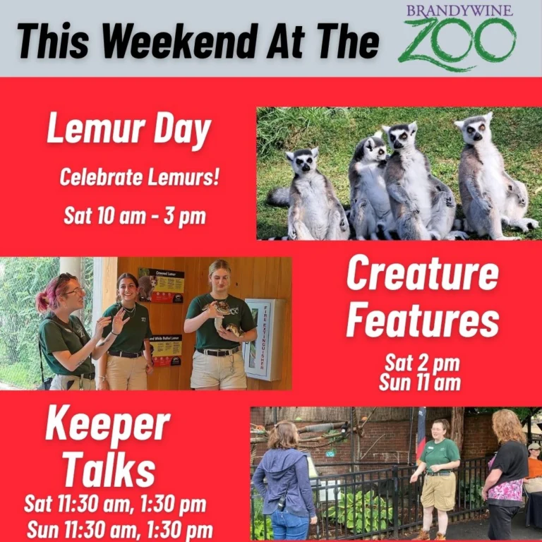 Instagram post from brandywinezoo. This post is in position 2.