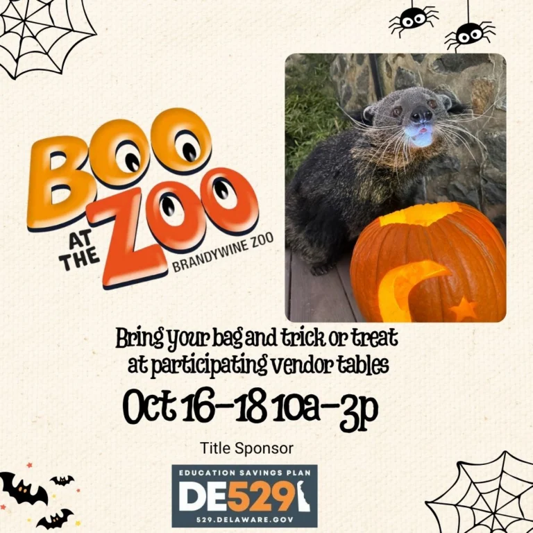 Instagram post from brandywinezoo. This post is in position 1.