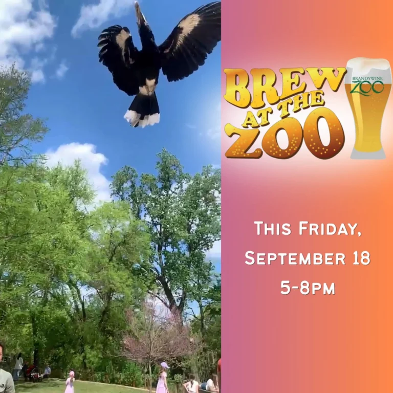 Instagram post from brandywinezoo. This post is in position 2.