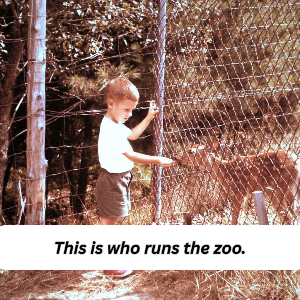 Instagram post from brandywinezoo. This post is in position 1.