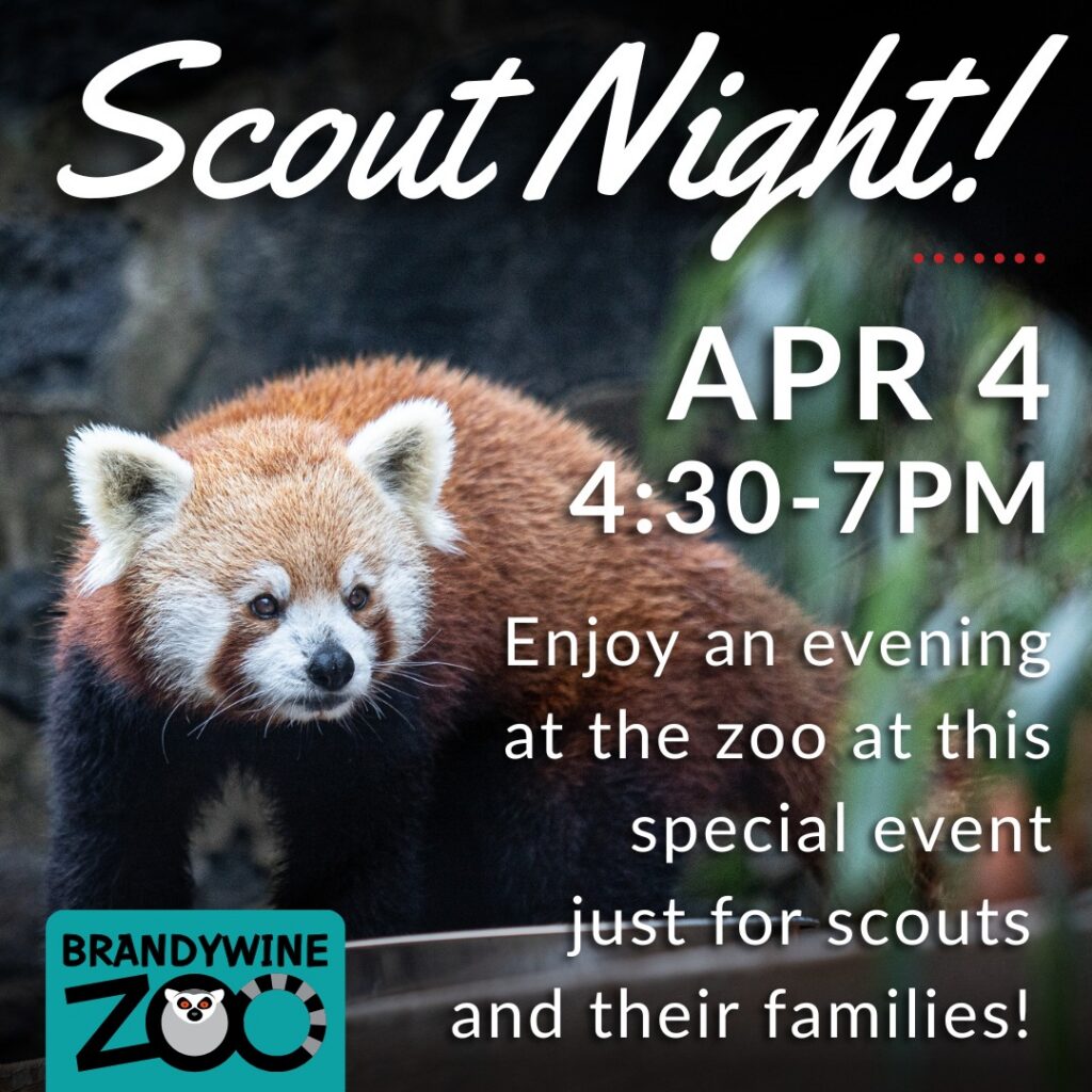 Instagram post from brandywinezoo. This post is in position 1.