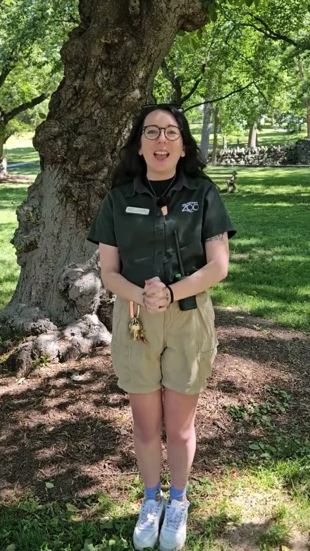 Instagram post from brandywinezoo. This post is in position 2.