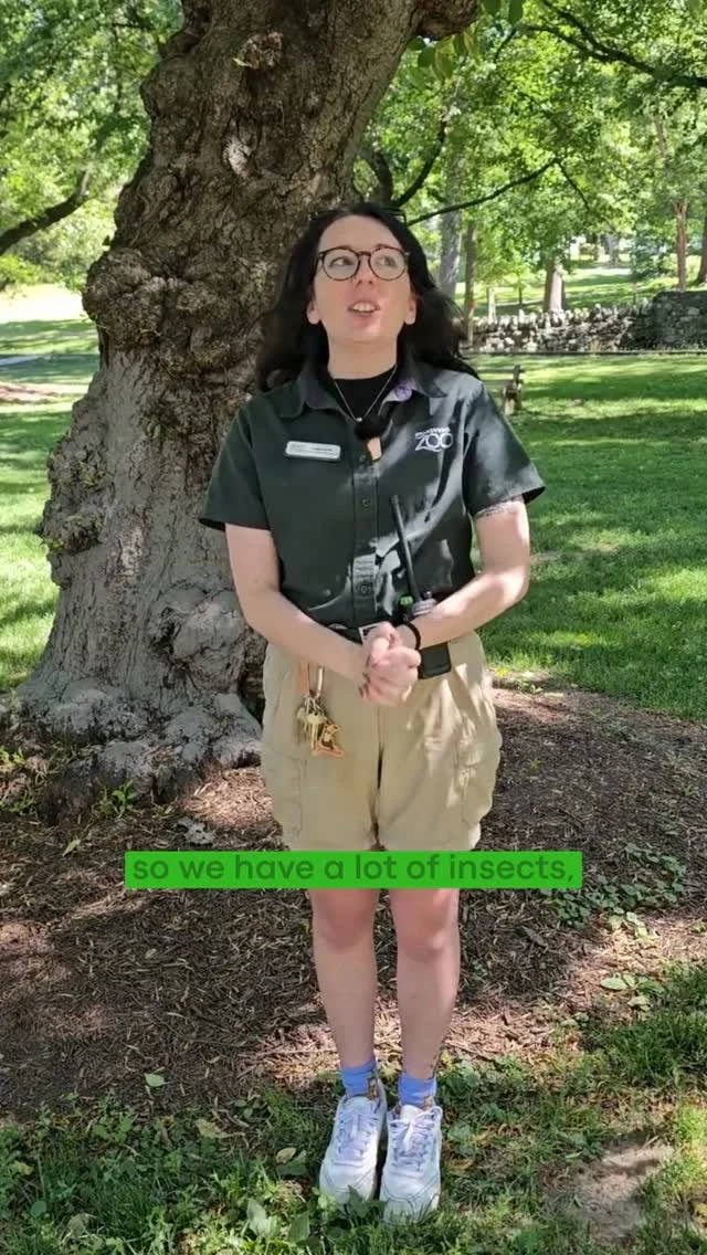 Instagram post from brandywinezoo. This post is in position 1.