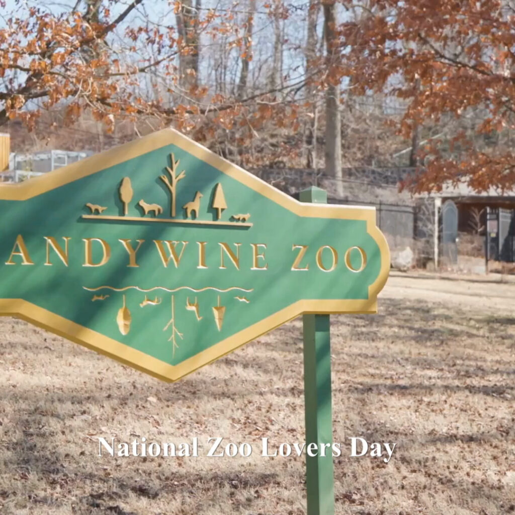 Instagram post from brandywinezoo. This post is in position 1.