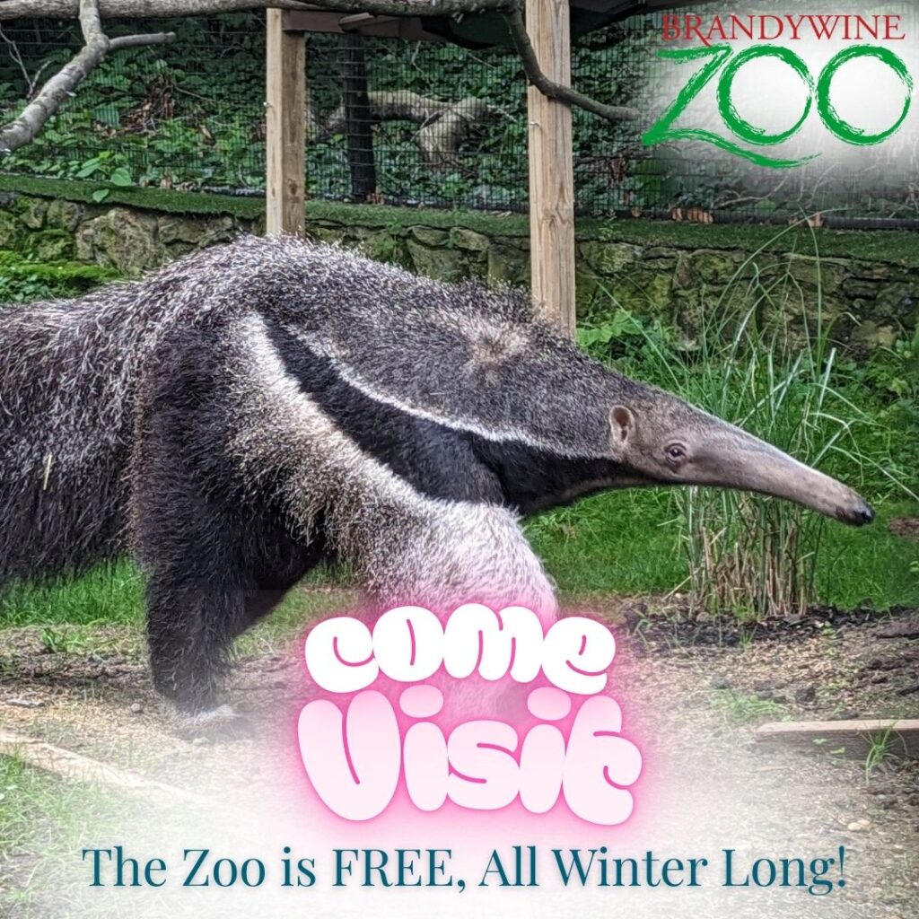 Instagram post from brandywinezoo. This post is in position 2.